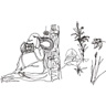 Infinite Line Drawings