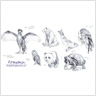 ROM Animal Sketches, Aug 2014