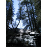 Bracebridge Waterfall: Cliff Face