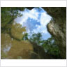 Distorted Reflections