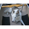 Sasha on a Canoe Trip