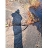 November Walk: Shadow Portrait