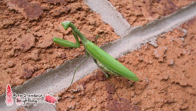 I`m Watching You!